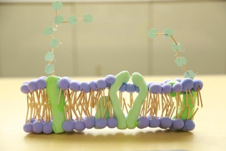 1761033072055090642.jpg 1761033072055090642.jpg