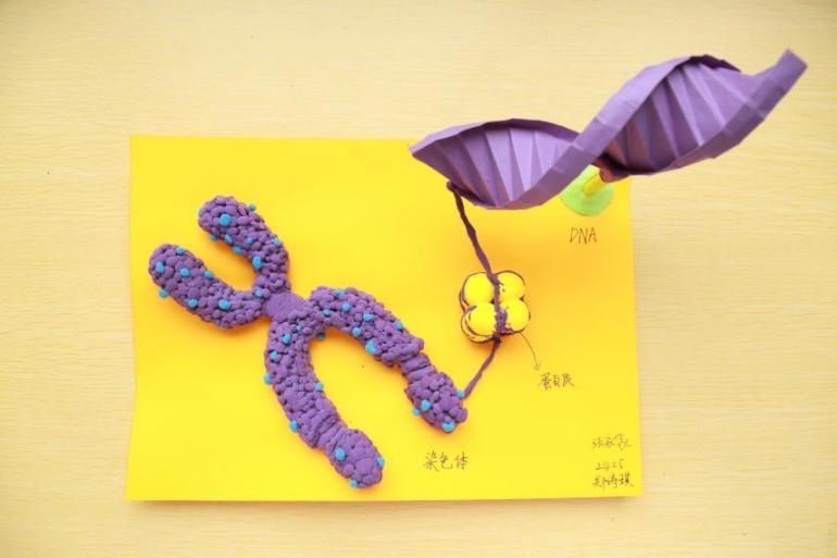 1761033153354011521.jpg 1761033153354011521.jpg