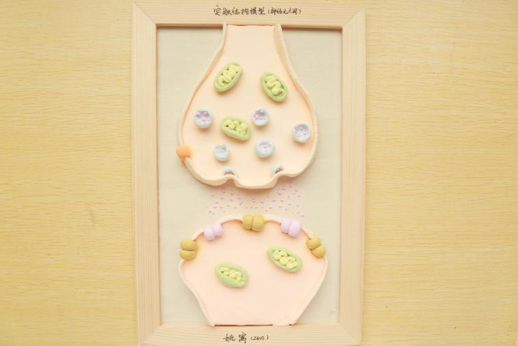 1761033204140011838.png 1761033204140011838.png