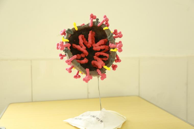 1761033233318038094.png 1761033233318038094.png