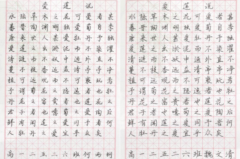 1761916184382081500.jpg 1761916184382081500.jpg