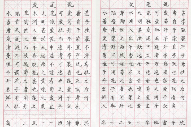 1761916212044088419.jpg 1761916212044088419.jpg