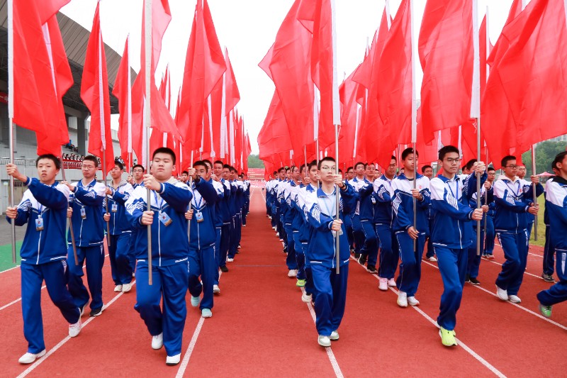 1762133137656035437.jpg 1762133137656035437.jpg