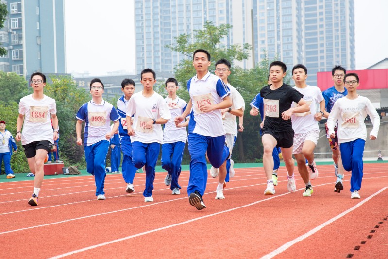 1762319085990082980.jpg 1762319085990082980.jpg