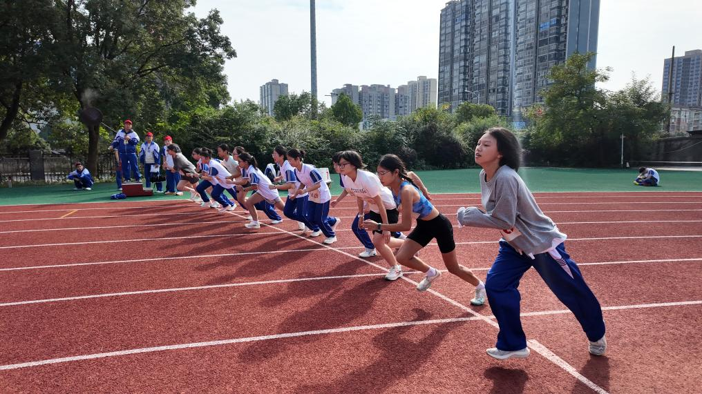 1762767547074043753.png 1762767547074043753.png