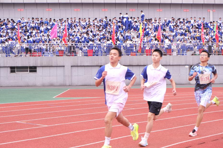 1762767648924088248.png 1762767648924088248.png