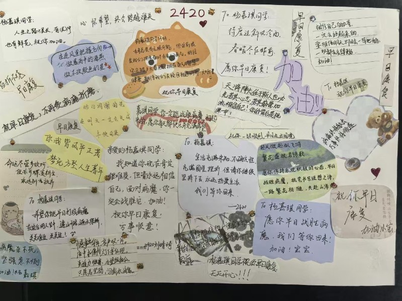 1763797692363065518.jpg 1763797692363065518.jpg